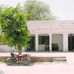 Office of Hasipur Factory